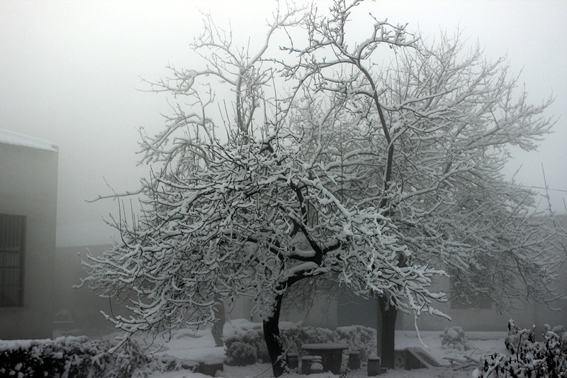 �¿ƏS�^(q��)ѩ��